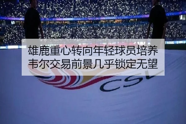 雄鹿重心转向年轻球员培养 韦尔交易前景几乎锁定无望